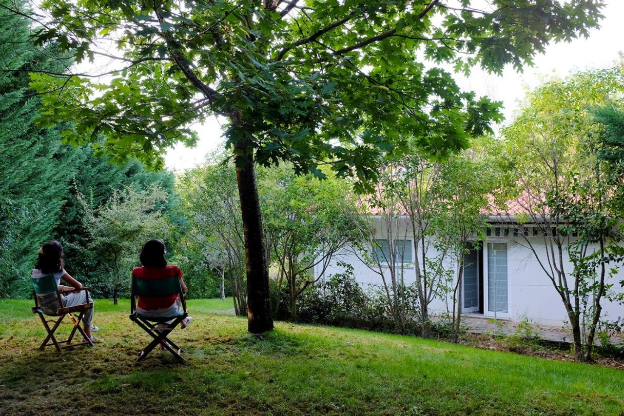 Willa Casa Do Galo / Galo House Vimioso Zewnętrze zdjęcie